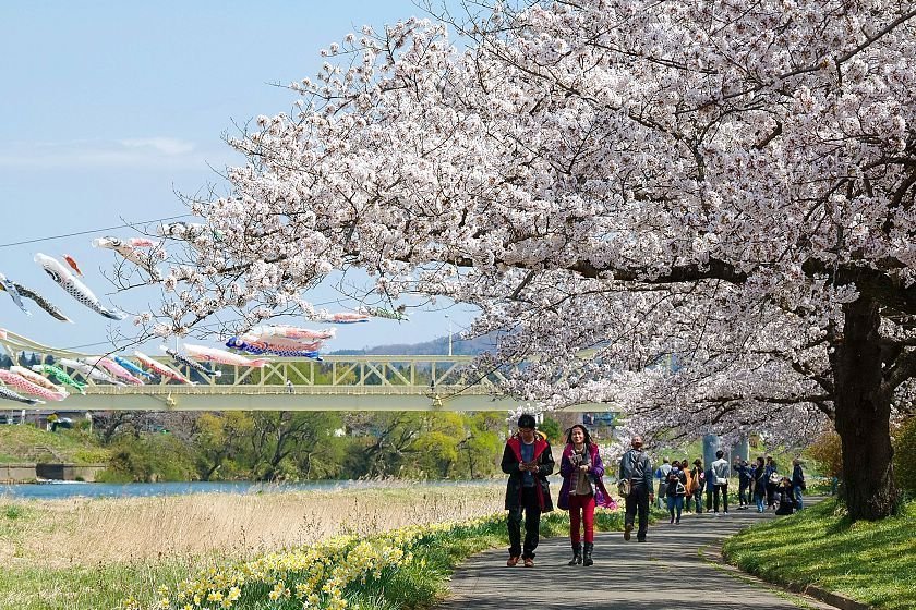 🌸 기타카미 시립공원 텐쇼치 이미지 5